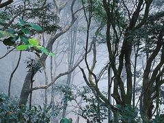 -梧桐山风景名胜区