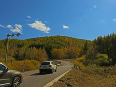 -塞罕坝国家级自然保护区