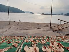 -东沙渔村