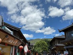 -正宗李家土鸡米线店