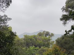 -青芝山风景名胜区