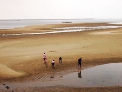-北海金海湾红树林生态旅游区