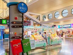 -厦门高崎国际机场-T3航站楼