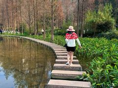 -重庆彩云湖湿地公园