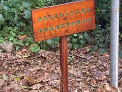 -寂照庵