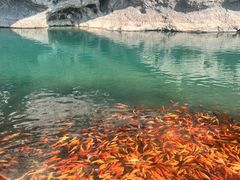 -楠溪江风景名胜区