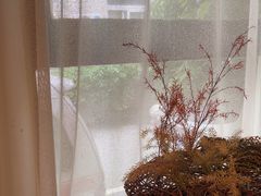 -陶享时光西餐·下午茶·竹林花园(新城店)