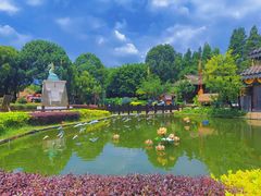 -云南民族村