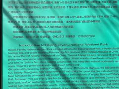 -野鸭湖国家湿地公园