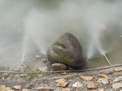 -苏州河梦清园环保主题公园