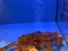 -阿伟海鲜楼·福建菜(延寿店)