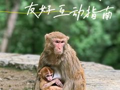 -黔灵山公园