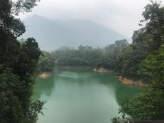 -广州市流溪河国家森林公园