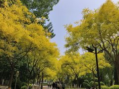 -南翠屏公园