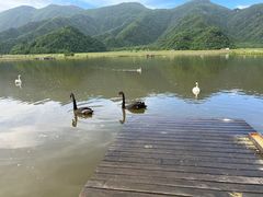 -大九湖