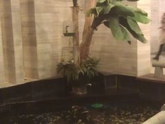 -久宴·天目湖大鱼头(恐龙园店)