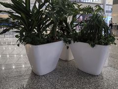 -石家庄正定国际机场-T2航站楼