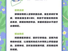 -瑞派申生动物医院·24H夜诊·国际动物医疗中心·骨外科(吴中路店)