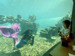 -涛·海底餐厅·美人鱼·自助餐·海底隧道(三亚海棠湾洲际度假酒店)