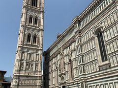 -圣母百花大教堂穹顶