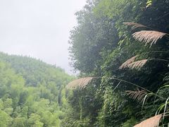 -将军关探险漂流