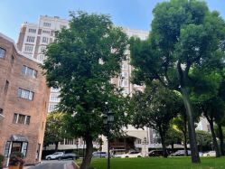 -锦江饭店·锦江小礼堂·宴会厅