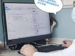 -纳吉亚猫专科动物医院·北北分院