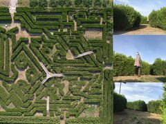 -亲兄弟真人CS团建拓展基地