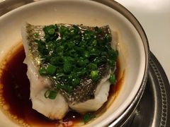 葱油蒸野生黄鱼-福1015(愚园路店)