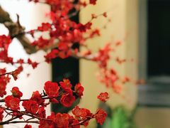 -欣悦府(城建大厦C座店)