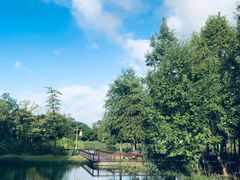 -梁鸿国家湿地公园