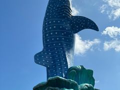 -珠海长隆海洋王国