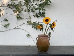 -云里小坐·小院里·团建·宴请·下午茶(三圣乡店)