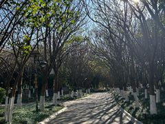 -西昌邛海湿地