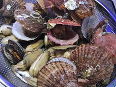 -船梆煮•蒸汽海鲜·炉火烤肉(五四广场店)