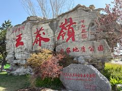 -王莽岭风景区