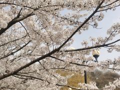 -大连植物园