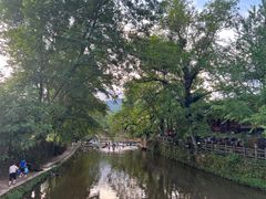 -雅安上里古镇