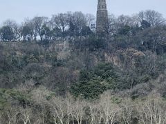 -西湖游船