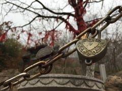 石老人观光园-石老人观光园
