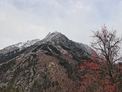 -米堆冰川