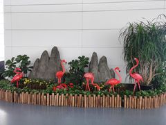 -银川河东国际机场