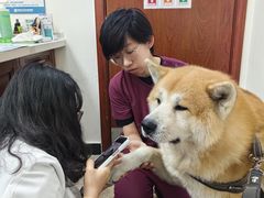-美联众合动物医院·24h转诊中心
