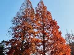 -东钱湖旅游度假区