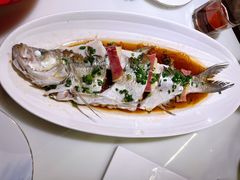 招牌清蒸钱塘江白条-柳莺湖上·湖景餐厅·江南菜(西湖店)