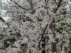 -堤角公园