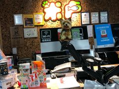 -米卢宠物公园(广华居店)