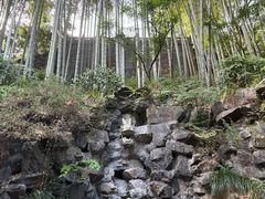 -灵隐飞来峰景区
