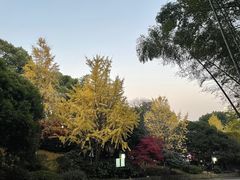 -岳麓山风景名胜区