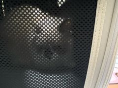 -伟伟宠物医院·瑞派猫友好医院·猫科(光谷店)
